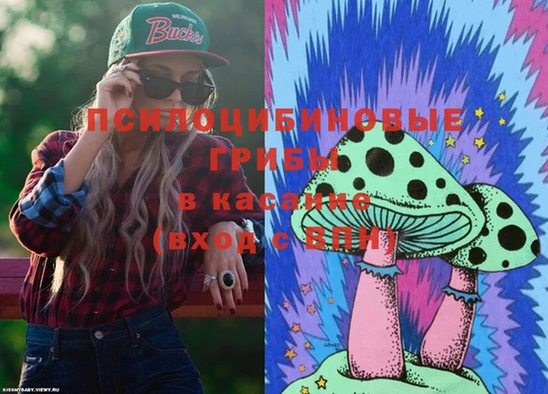 хмурый Зеленодольск