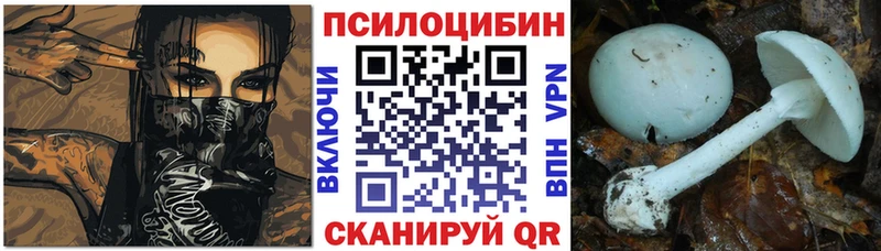 как найти наркотики  Сосногорск  Галлюциногенные грибы Psilocybine cubensis 